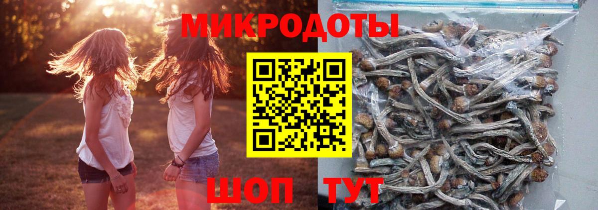 Абакан  Галлюциногенные грибы прущие грибы  Вход с VPN 